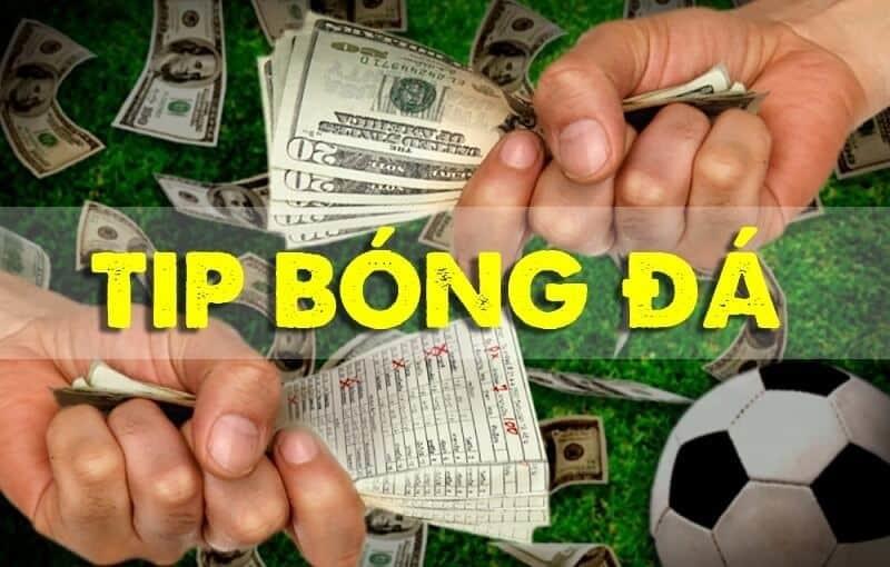 Khái niệm tip bóng đá là gì